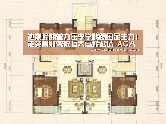 他巅峰期曾力压李学鹏踢国足主力!能突善射曾被恒大高薪邀请_AG入口(图1) AG视讯