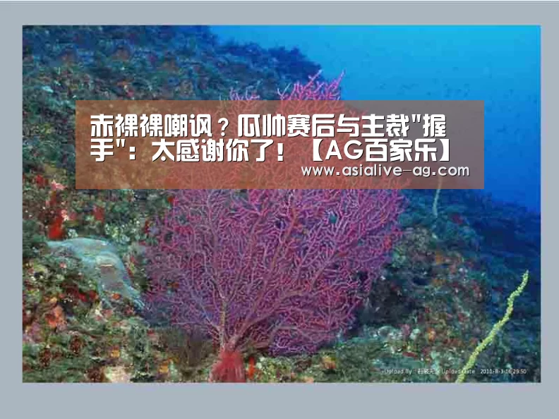 AG真人