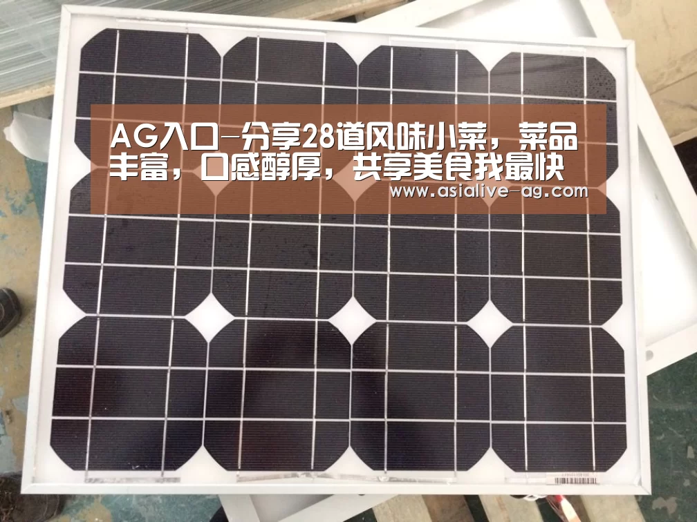 AG入口-分享28道风味小菜,菜品丰富,口感醇厚,共享美食我最快乐(图2) AG真人
